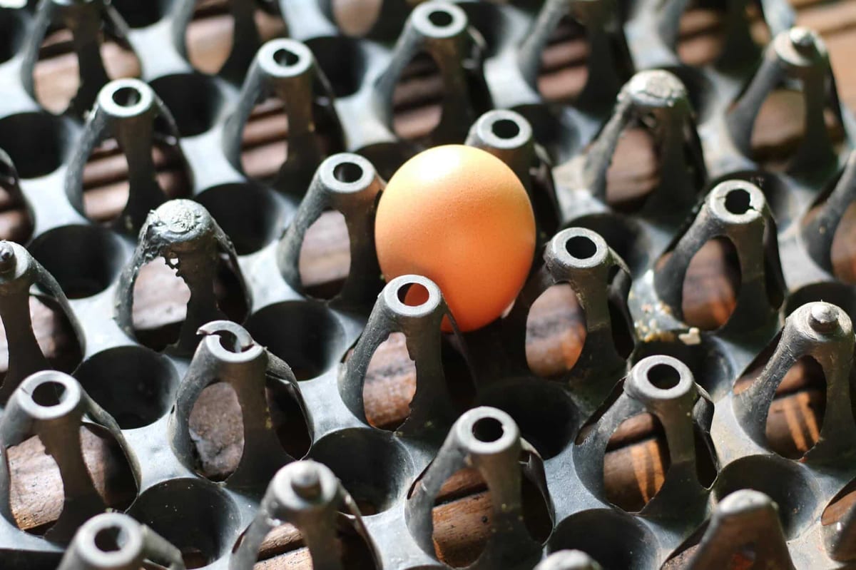 Hidden costs of low‑quality plastics in trade and DIY projects (and how to avoid them)